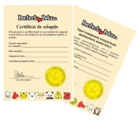 Интерактивная игрушка Perfect Petzzz Siamese Cat 92-15 фото №2 — интернет-магазин Desire.md