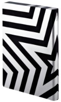 Blocnotes Nuuna Graphic L Super Star Silver imaginea #2 — magazin online Desire.md