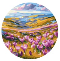 Картина по номерам Brushme Весеннее пробуждение (RC00084FC) фото №1 — интернет-магазин Desire.md