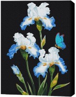 Картина по номерам Brushme Ирисы (BS53915) фото №1 — интернет-магазин Desire.md