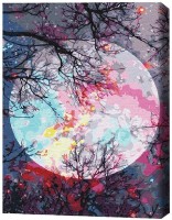 Tablou pe numere Brushme Cu vedere la lună (BS51423)