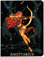 Картина по номерам Brushme Стрелец (BSB0037FC) фото №1 — интернет-магазин Desire.md