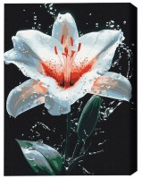 Tablou pe numere Brushme Stralucirea lui Lili 30x40cm (BS54156)