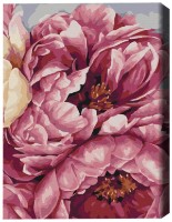 Tablou pe numere Brushme Inflorirea bujorilor (BS40543)