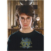 Puzzle Dodo 450 Harry Potter (200576)