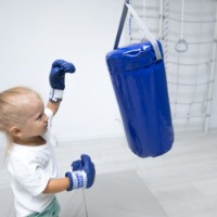 Груша для бокса Romana 20kg (МФ-МК-01.67.08 + МФ-МК-01.95.00) фото №2 — интернет-магазин Desire.md