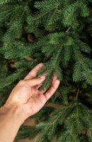 Brad artificial Chi Toys Alpine 210cm imaginea #2 — magazin online Desire.md