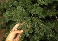 Декоративная ёлка Chi Toys Kovalivka Natural 180cm фото №2 — интернет-магазин Desire.md