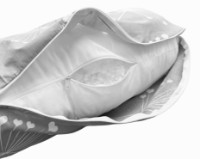 Чехол на подушку для кормления ES Grey Dandelions L фото №2 — интернет-магазин Desire.md