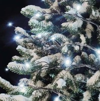 Гирлянда Emos D1AC01 фото №5 — интернет-магазин Desire.md