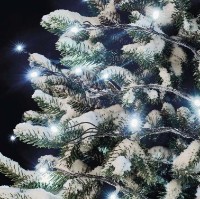 Ghirlandă Emos D1AC03 imaginea #6 — magazin online Desire.md