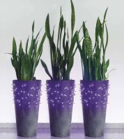 Гирлянда Emos D1AF01 фото №6 — интернет-магазин Desire.md