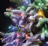 Гирлянда Emos D1AM03 фото №3 — интернет-магазин Desire.md