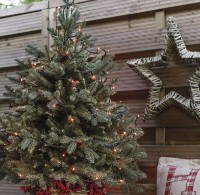 Гирлянда Emos D1AR01 фото №5 — интернет-магазин Desire.md