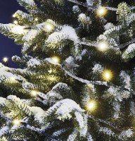 Ghirlandă Emos D1AW03 imaginea #5 — magazin online Desire.md