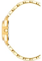 Наручные часы Anne Klein 10/5490MPGB фото №3 — интернет-магазин Desire.md