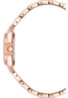 Наручные часы Anne Klein 10/5490MVRG фото №3 — интернет-магазин Desire.md