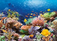 Puzzle Castorland 1000 Coral Reef (C-101511)