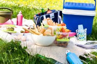 Термосумка GioStyle Bravo-32 32.5L (34725) фото №3 — интернет-магазин Desire.md