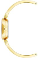 Наручные часы Anne Klein AK/1980RDGB фото №2 — интернет-магазин Desire.md