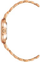 Наручные часы Anne Klein AK/2928NVRG фото №2 — интернет-магазин Desire.md