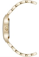 Наручные часы Anne Klein AK/5132SVGB фото №3 — интернет-магазин Desire.md