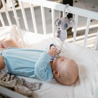 Jucărie pentru pătuturi si carucioare BabyOno Koala Coco (1636) imaginea #4 — magazin online Desire.md