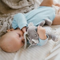 Jucărie cu sunătoare BabyOno Koala Coco (1632) imaginea #2 — magazin online Desire.md