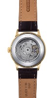 Наручные часы Orient RA-AC0M01S30B фото №2 — интернет-магазин Desire.md