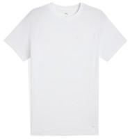 Tricou bărbătesc Puma Evostripe Tee Puma White, s.S (68461102) imaginea #1 — magazin online Desire.md
