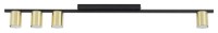 Потолочный светильник Tk-Lighting Logan 5673 Black/Gold