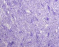 Жидкие обои Excelent Wall Bars 4