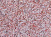 Tapeturi umede Excelent Wall Bianco 4