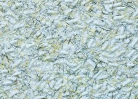 Tapeturi umede Excelent Wall Bianco 5