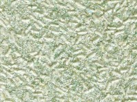 Tapeturi umede Excelent Wall Bianco 6