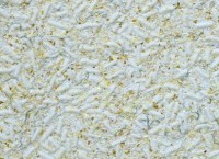 Tapeturi umede Excelent Wall Bianco 9