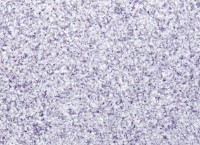 Жидкие обои Excelent Wall Briz 4