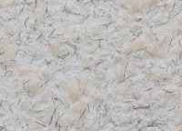 Tapeturi umede Excelent Wall Lux 1