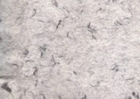 Tapeturi umede Excelent Wall Rich 01