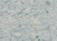 Tapeturi umede Excelent Wall Rich 03