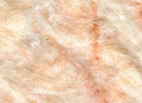 Tapeturi umede Excelent Wall Rich 08