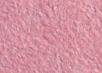 Tapeturi umede Excelent Wall Vanda 11