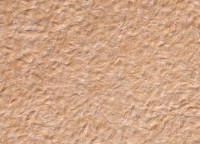 Tapeturi umede Excelent Wall Vanda 4