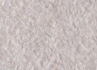 Tapeturi umede Excelent Wall Vanda 7