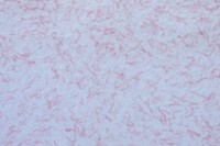 Tapeturi umede Excelent Wall Tako 1