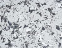 Штукатурка Excelent Wall Cupaj Delux 1kg CDL6