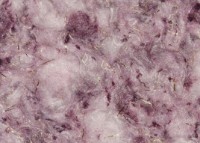 Tapeturi umede Excelent Wall Helga 6