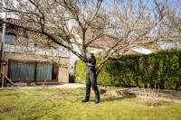 Duza pentru taiere pentru arbuști Metabo MA-MS 25 (601727850) imaginea #2 — magazin online Desire.md