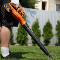 Aspirator-suflător de frunze Sequoia SBLB2024-EV imaginea #2 — magazin online Desire.md