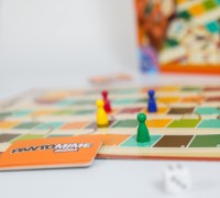 Настольная игра D-Toys Pantomime Animale din Romania (80851) фото №6 — интернет-магазин Desire.md